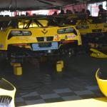 LBGP_0035 (April 15, 2016)